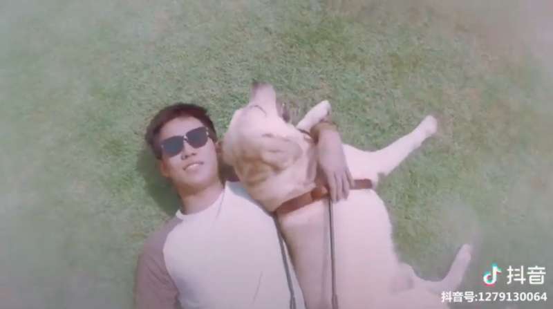 墨鏡哥到處亂貼自拍照!路人都火大時...流浪犬看到時卻叼起照片狂奔:把拔在找我了% 照片 墨鏡哥到處亂貼自拍照!路人都火大時...流浪犬看到時卻叼起照片狂奔:把拔在找我了