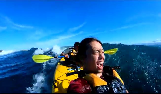 海上爽玩香蕉船 下一秒「海豹甩章魚攻擊」直接打上臉...果然是大自然的復仇啊XD% 照片 海上爽玩香蕉船 下一秒「海豹甩章魚攻擊」直接打上臉...果然是大自然的復仇啊XD
