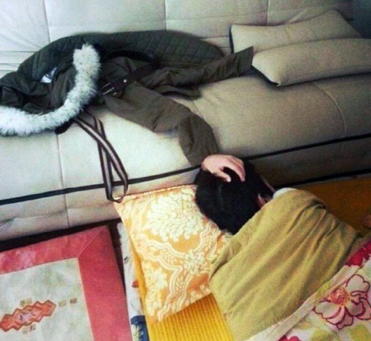 21張讓你「看10秒也不一定能看懂」的爆笑錯視照 狗狗竟然有鯊魚的牙齒!% 照片 21張讓你「看10秒也不一定能看懂」的爆笑錯視照 狗狗竟然有鯊魚的牙齒!