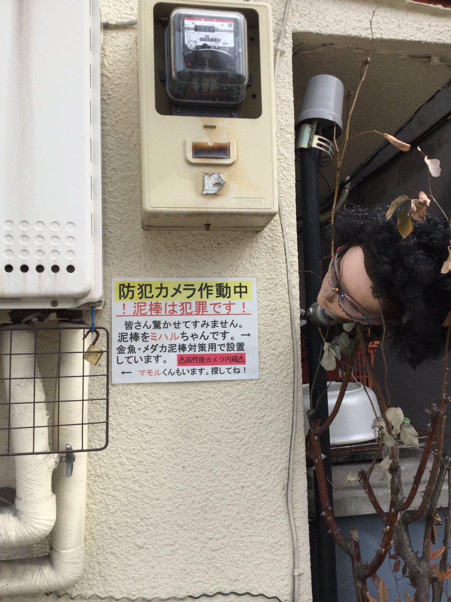 日本「最強防盜法」比監視器有用 水管旁的人頭「頭頂樹葉盯著你」...整條脊椎涼掉!% 照片 日本「最強防盜法」比監視器有用 水管旁的人頭「頭頂樹葉盯著你」...整條脊椎涼掉!