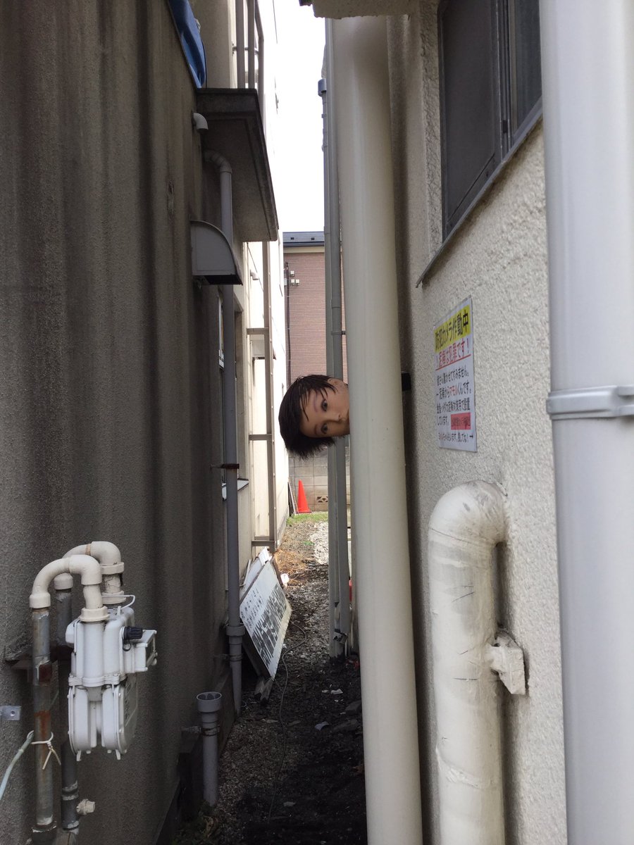 日本「最強防盜法」比監視器有用 水管旁的人頭「頭頂樹葉盯著你」...整條脊椎涼掉!% 照片 日本「最強防盜法」比監視器有用 水管旁的人頭「頭頂樹葉盯著你」...整條脊椎涼掉!