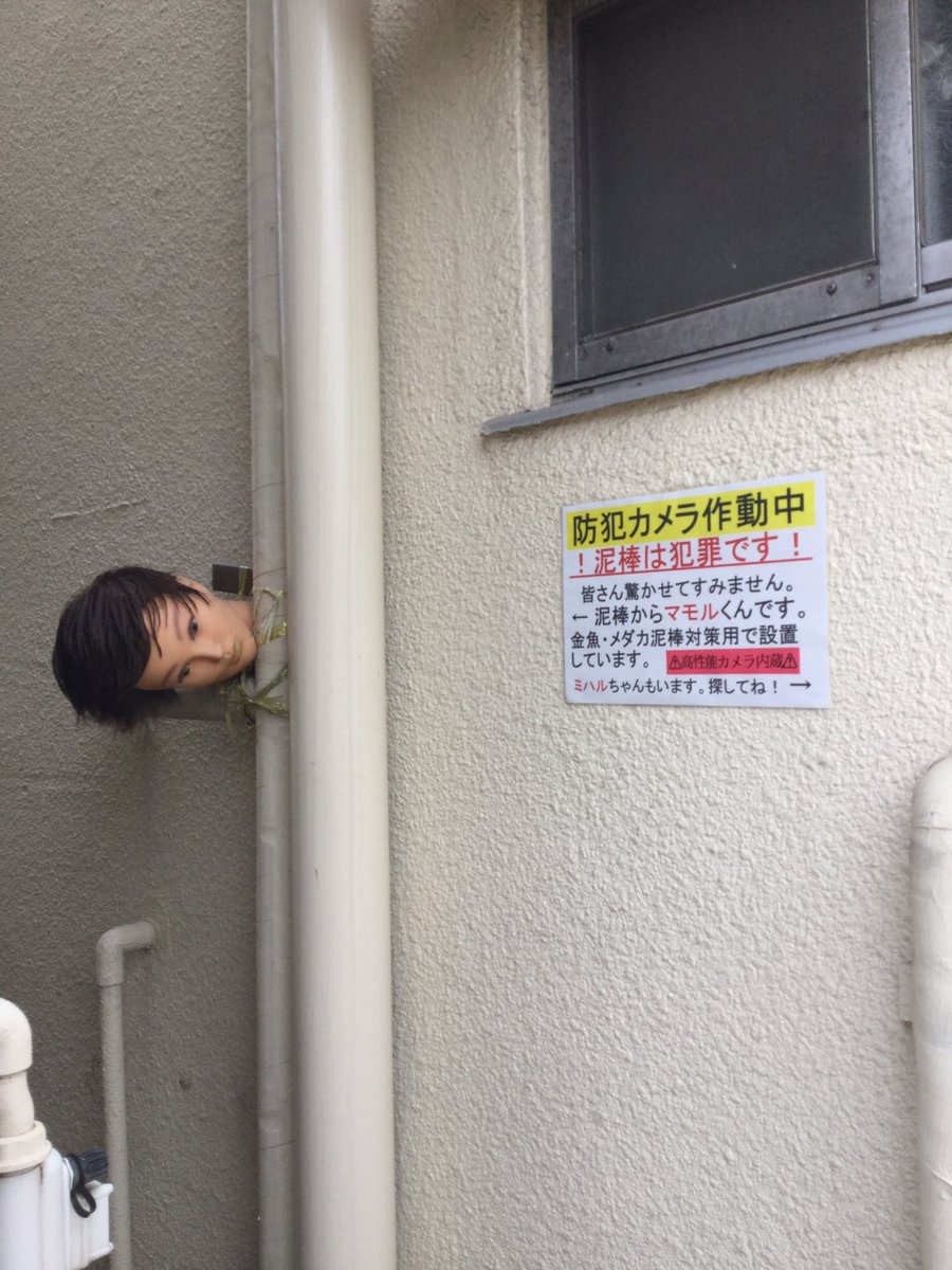 日本「最強防盜法」比監視器有用 水管旁的人頭「頭頂樹葉盯著你」...整條脊椎涼掉!% 照片 日本「最強防盜法」比監視器有用 水管旁的人頭「頭頂樹葉盯著你」...整條脊椎涼掉!