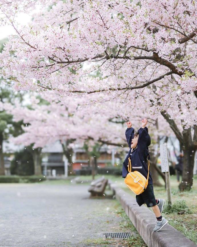 日本媽偷偷拍兒子拍了3年!從「菜鳥→大神」宮崎駿級美照震撼全網:根本童話世界% 照片 日本媽偷偷拍兒子拍了3年!從「菜鳥→大神」宮崎駿級美照震撼全網:根本童話世界