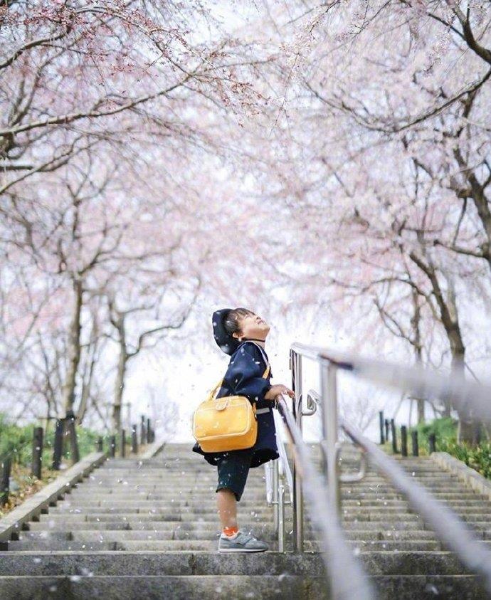 日本媽偷偷拍兒子拍了3年!從「菜鳥→大神」宮崎駿級美照震撼全網:根本童話世界% 照片 日本媽偷偷拍兒子拍了3年!從「菜鳥→大神」宮崎駿級美照震撼全網:根本童話世界