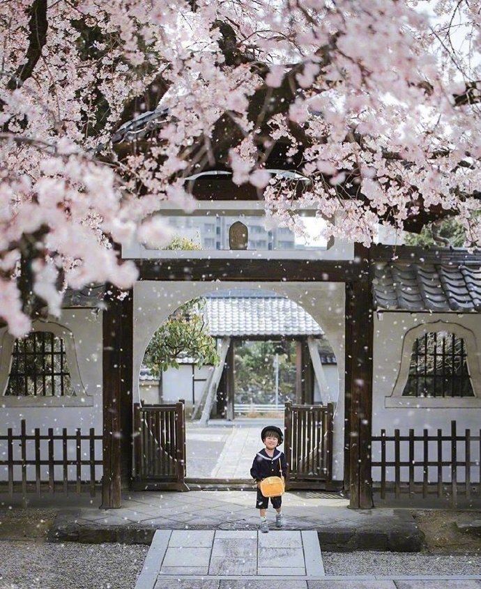 日本媽偷偷拍兒子拍了3年!從「菜鳥→大神」宮崎駿級美照震撼全網:根本童話世界% 照片 日本媽偷偷拍兒子拍了3年!從「菜鳥→大神」宮崎駿級美照震撼全網:根本童話世界