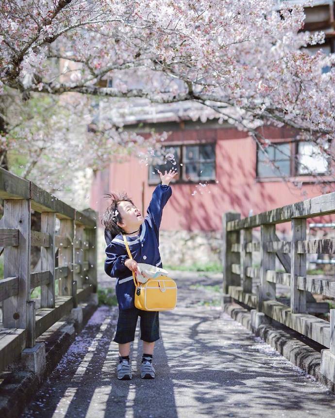 日本媽偷偷拍兒子拍了3年!從「菜鳥→大神」宮崎駿級美照震撼全網:根本童話世界% 照片 日本媽偷偷拍兒子拍了3年!從「菜鳥→大神」宮崎駿級美照震撼全網:根本童話世界