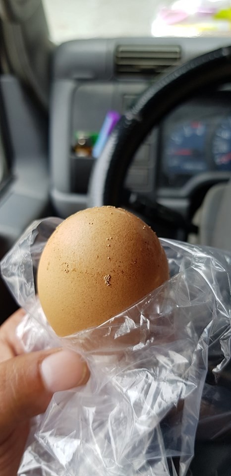 是蟲卵嗎?他驚見蛋殼「黏滿一顆顆白色芝麻」 養雞人給出「生物解答」網直呼:長知識% 照片 是蟲卵嗎?他驚見蛋殼「黏滿一顆顆白色芝麻」 養雞人給出「生物解答」網直呼:長知識