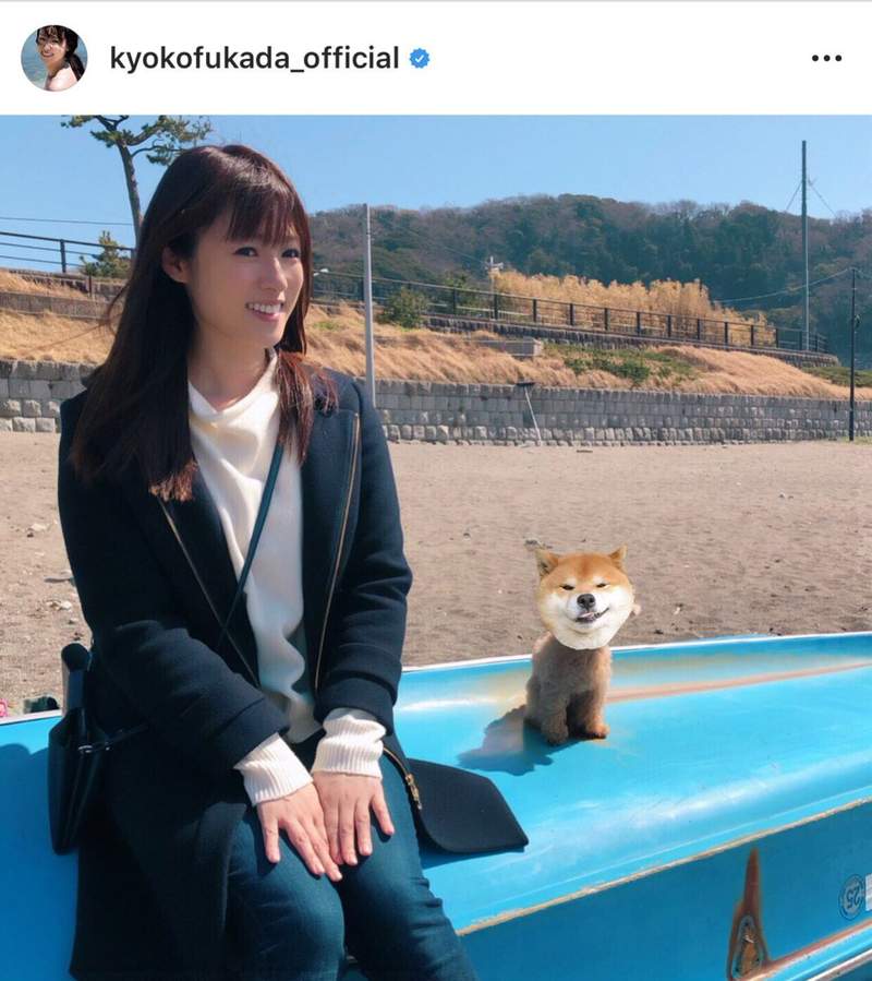 柴犬咬爛手把「露邪惡表情」爆紅!眼尖網友卻秒戳破「技術性」重點:主人在耍心機!% 照片 柴犬咬爛手把「露邪惡表情」爆紅!眼尖網友卻秒戳破「技術性」重點:主人在耍心機!