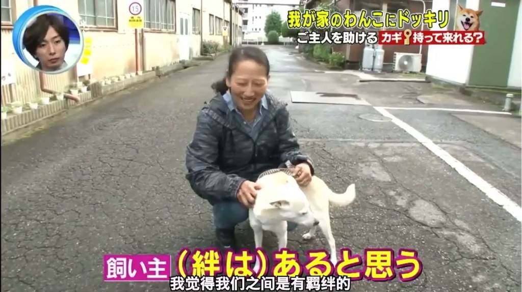 影/日本節目出奇招「整狗」笑壞網友 到底要救「被抓走的主人」還是吃罐罐?% 照片 影/日本節目出奇招「整狗」笑壞網友 到底要救「被抓走的主人」還是吃罐罐?