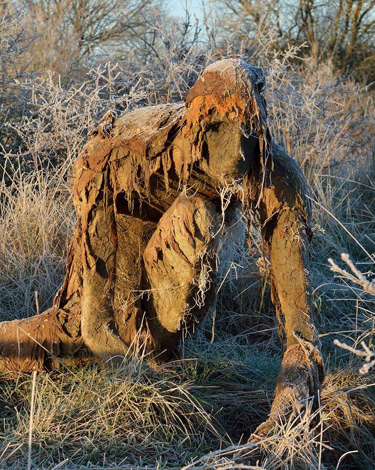 沼澤邊驚見「真實版催狂魔」?網近看發現「超催淚真相」嚇壞:人類該反省了…% 照片 沼澤邊驚見「真實版催狂魔」?網近看發現「超催淚真相」嚇壞:人類該反省了…