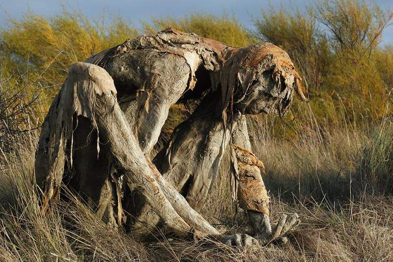 沼澤邊驚見「真實版催狂魔」?網近看發現「超催淚真相」嚇壞:人類該反省了…% 照片 沼澤邊驚見「真實版催狂魔」?網近看發現「超催淚真相」嚇壞:人類該反省了…