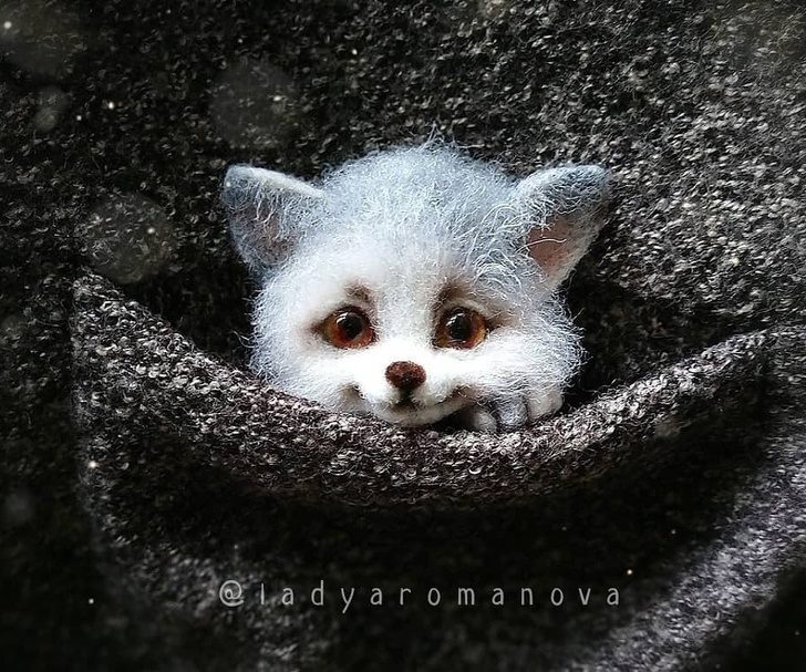 藝術家打造「比活的還可愛」動物公仔 「口袋貓咪」讓網融化❤% 照片 藝術家打造「比活的還可愛」動物公仔 「口袋貓咪」讓網融化❤