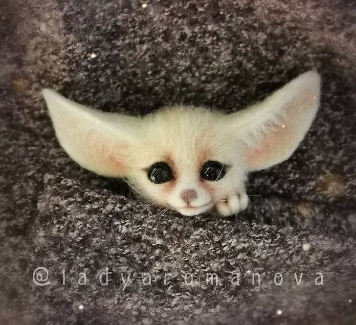 藝術家打造「比活的還可愛」動物公仔 「口袋貓咪」讓網融化❤% 照片 藝術家打造「比活的還可愛」動物公仔 「口袋貓咪」讓網融化❤