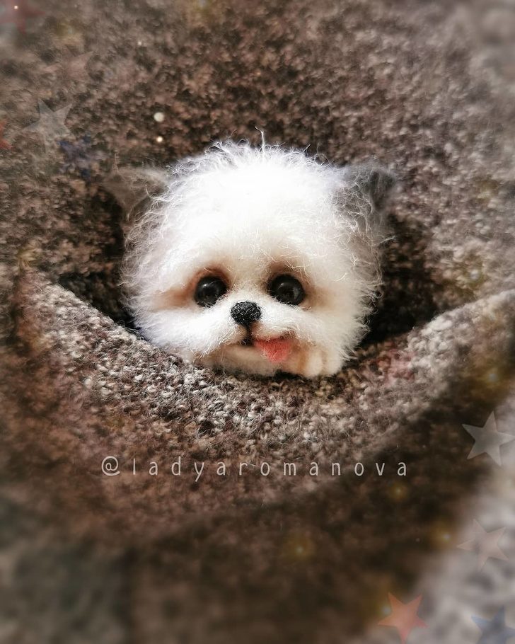 藝術家打造「比活的還可愛」動物公仔 「口袋貓咪」讓網融化❤% 照片 藝術家打造「比活的還可愛」動物公仔 「口袋貓咪」讓網融化❤