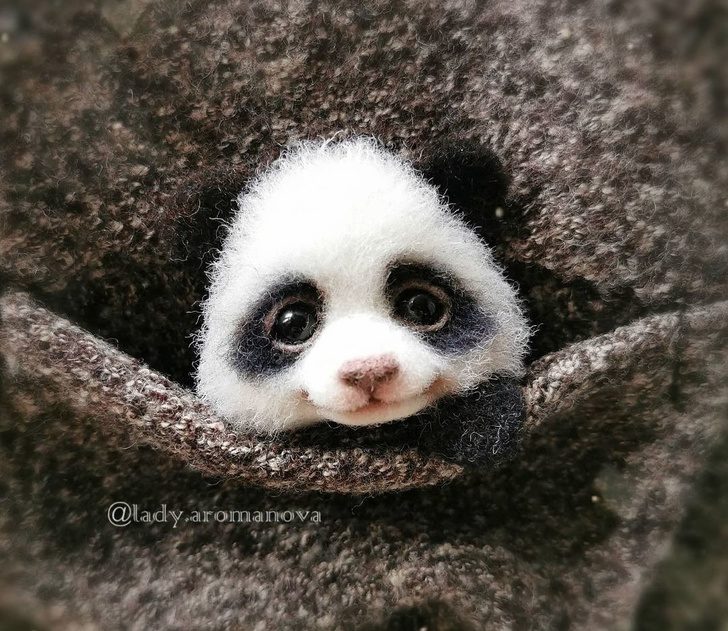 藝術家打造「比活的還可愛」動物公仔 「口袋貓咪」讓網融化❤% 照片 藝術家打造「比活的還可愛」動物公仔 「口袋貓咪」讓網融化❤