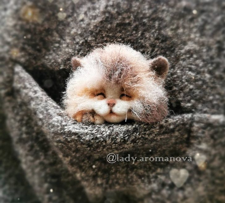 藝術家打造「比活的還可愛」動物公仔 「口袋貓咪」讓網融化❤% 照片 藝術家打造「比活的還可愛」動物公仔 「口袋貓咪」讓網融化❤