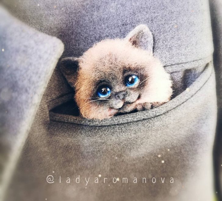 藝術家打造「比活的還可愛」動物公仔 「口袋貓咪」讓網融化❤% 照片 藝術家打造「比活的還可愛」動物公仔 「口袋貓咪」讓網融化❤