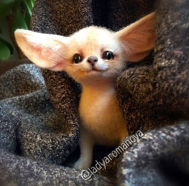 藝術家打造「比活的還可愛」動物公仔 「口袋貓咪」讓網融化❤% 照片 藝術家打造「比活的還可愛」動物公仔 「口袋貓咪」讓網融化❤