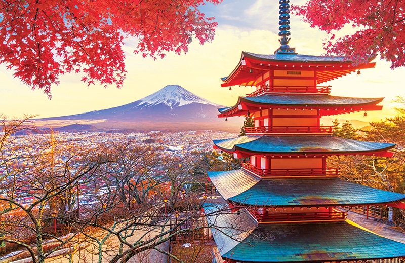 世界上最大拼圖!柯達推出「5萬片拼圖」結合27張奇蹟美照% 照片 世界上最大拼圖!柯達推出「5萬片拼圖」結合27張奇蹟美照