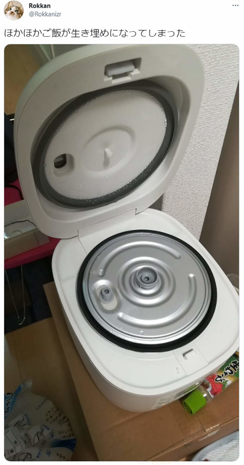 电子锅煮饭悲剧