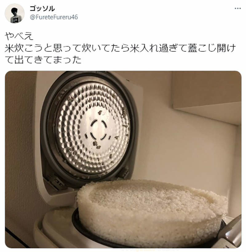 电子锅煮饭悲剧