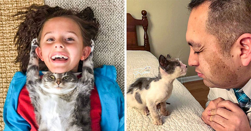 20张「铲屎官就是一群抖m小可爱」的猫皇霸气示爱照 100岁阿公跟著